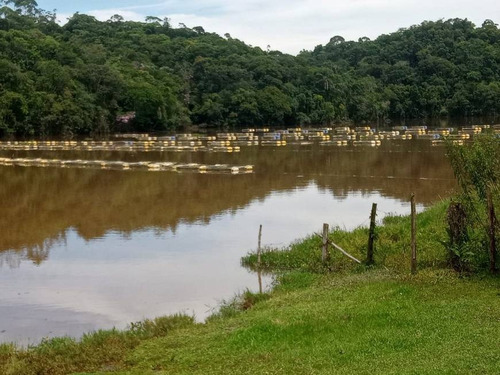 Imagem 6 de 14 de C42- Lotes Em Igaratá, Empreendimento Fechado !!