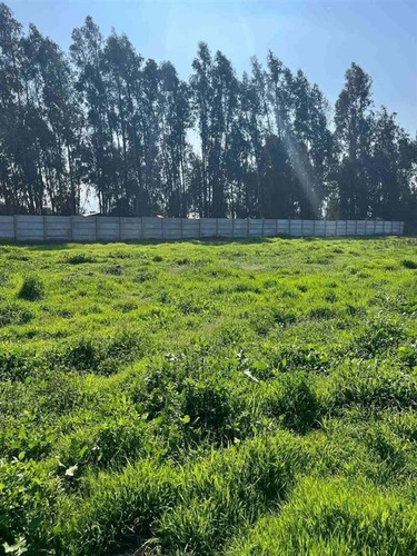 Imagen 8 de 23 de Sitio En Venta En Isla De Maipo