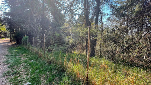 Terreno Habitacional En Venta En San Mateo Tlaltenango, Cuaj