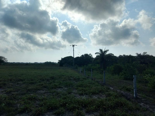Venta Rancho 100 Has Frente A La Laguna De Tamiahua Veracruz