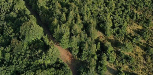 Hermosa Parcela En Venta, Palena, Región De Los Lagos
