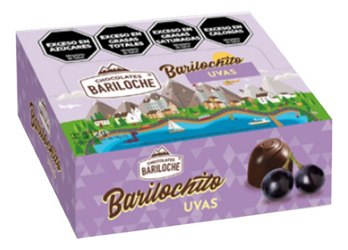 Bombon Chocolates Bariloche Relleno Con Uvas Al Ron X 24u