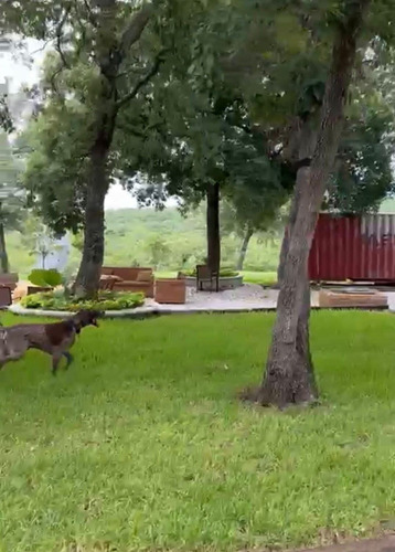 Terreno En Venta En Hualauises Nuevo León