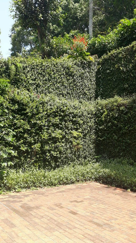 Imagem 12 de 30 de Embu Condomínio Do Bosque, Casa Com 4 Dormitórios Sendo 1 Suíte,3 Salas,útil De 400m² - Ca00198 - 70640268