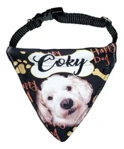 Comprar Collares Bandanas Para Perro Mediano Talla M 