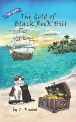 Libro The Gold Of Black Rock Hill: Decodable Chapter Book...