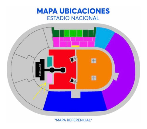 Dua Lipa - Entradas Pit Andes X 2 Unidades