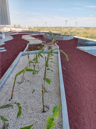 Imagen 8 de 10 de Geodren + Geotextil. Azotea Verde Y Roofgarden. Lienzo 5m2