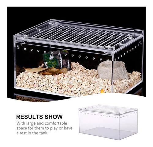 Caja De Cría De Tortugas Para Terrario, Tanque De Terrario P