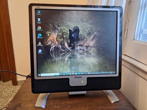 Monitor Philips 170x6, 17 Pulgadas Lcd Funcionando Perfecto Plateado (Usado)