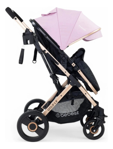 Coche Vox Gold Asiento 2 En 1 Con Moises Rosa