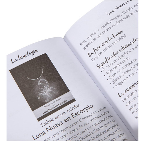La Lunologia Lunalogia Oráculo Español - Astromancer Store