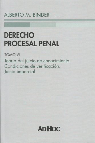 Derecho Procesal Penal T 6 Binder 