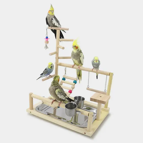 Escalera Perch Gym Playpen Con Comederos Para Agapornis