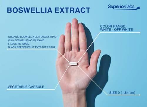 Boswellia Extract By Superior Labs - Non Synthetic, 500mg, 2
