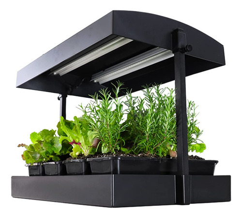 Sunblaster Luz Cultivo Jardin Color Negro