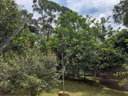 Imagem 30 de 30 de Chácara À Venda, 1100 M² Por R$ 380.000,00 - Riacho Grande - São Bernardo Do Campo/sp - Ch0047