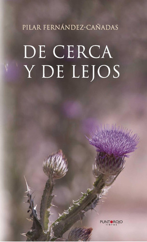 De Cerca Y De Lejos, De Fernandez Cañadas , Pilar.., Vol. 1.0. Editorial Punto Rojo Libros S.l., Tapa Blanda, Edición 1.0 En Español, 2032