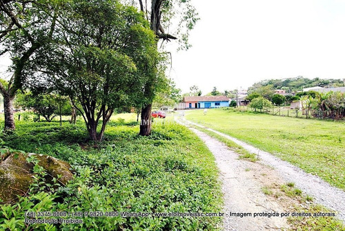 Imagem 13 de 22 de Terreno À Venda - Potecas, São José/sc - 3694