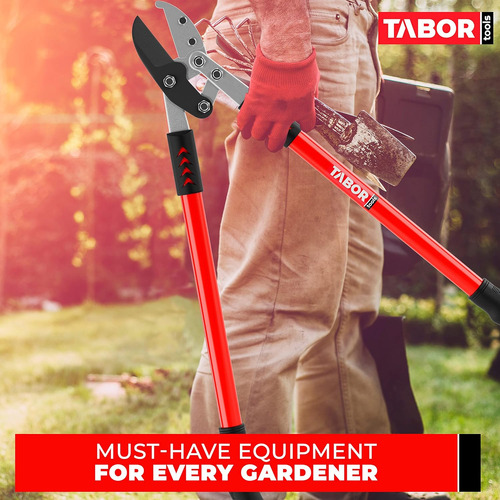 Tabor Tools Gg12a Podadora De Yunque Con Acción Compuesta, P