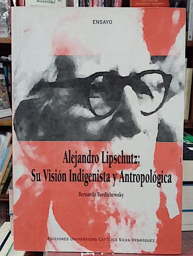 Alejandro Lipschutz, Visión Indigenista. 2004