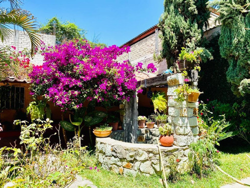 Imagen 10 de 23 de Se Vende Casa En La Colonia Eucalipto, Pueblo Nuevo, Oaxaca.