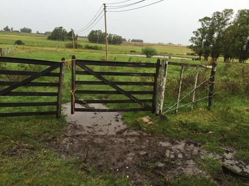 Campo En Venta En Lavalleja, 151 Hectáreas.