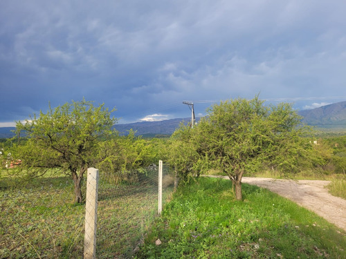 Terreno En Venta En Las Rabonas