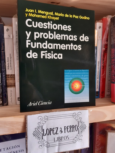 Cuestiones Y Problemas De Fundamentos De Física Godino Gómez