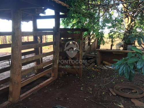 Imagem 8 de 18 de Excelente Fazenda - Itapagipe - 3841072v