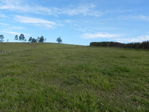 Imagem 4 de 4 de Nazaré Paulista (terreno De 500m2) Particular