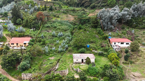 Excelente Terrenos En Venta Galipán, Parque Nacional Él Ávila. Son 2 Terrenos Puede Venderse Juntos Como Se Presenta Acá O Separados Edf