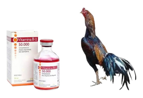 B12 50.000 P/ Galos Combatentes, Aumento Do Tônus Muscular .