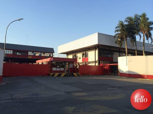 Comercial/industrial - Ref: 145940