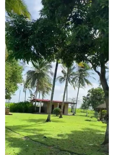 Imagen 3 de 17 de Se Vende Finca En Caicarita Estado Monagas Ve02-1095mced-mtru