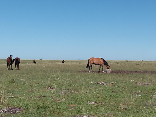 Excelente Estancia Ganadera 2881 Hectareas