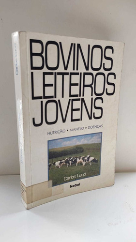 Bovinos Leiteiros Jovens