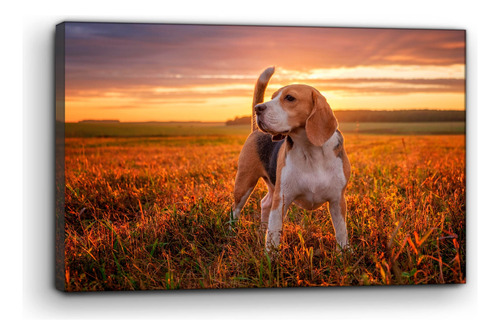 Cuadro Moderno Canvas Retrato Perro Beagle 80x120cm