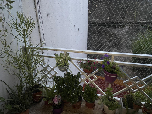 Departamento En Venta De 3 Ambientes En Belgrano R