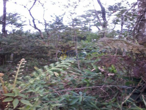 Imagem 2 de 8 de Terreno No Royal Parque - 6153