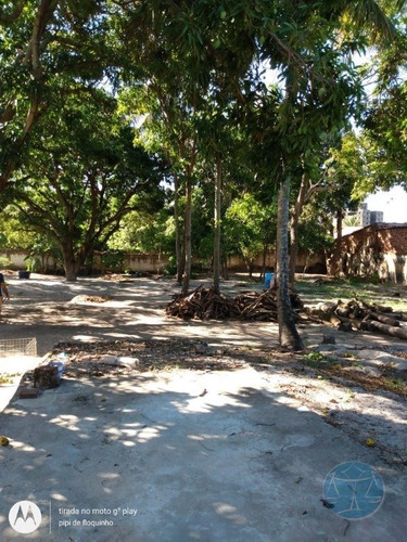 Imagem 6 de 8 de Terreno Na Vila De Ponta Negra - V-11436