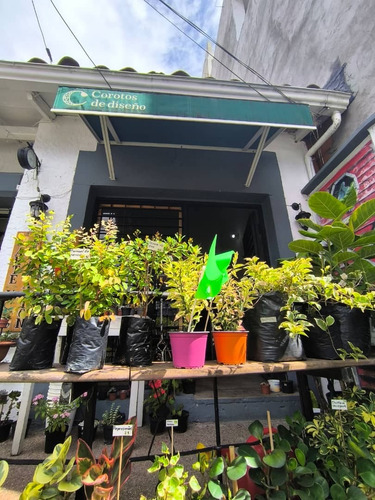 Local En Alquiler Barrio Obrero