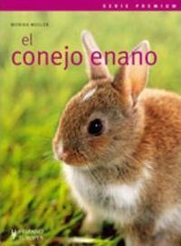 El Conejo Enano  Monica Wegleraqwe