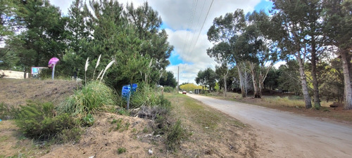 Venta Lote Terreno En San Bernardo 995 M2 Barrio Residencial
