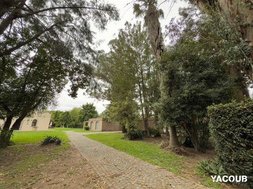 Casa En Venta - 3 Dormitorios 3 Baños - 2.100mts2 - Villa Elisa