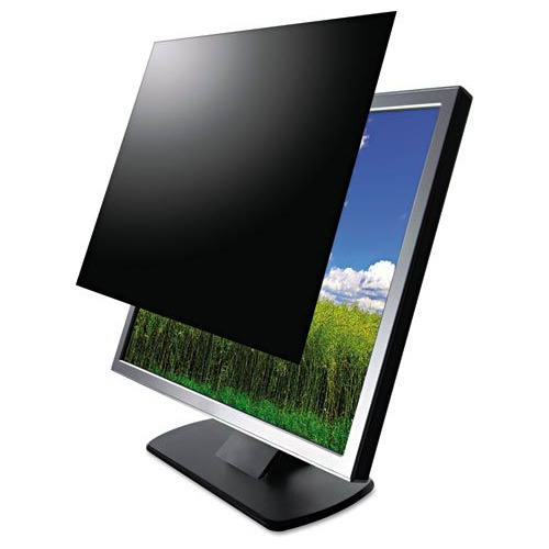 Vision Secure Monitor Lcd Filtro Privacidad Para 24 