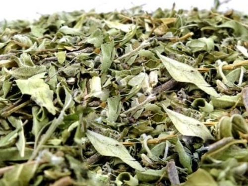 Peperina Hierba Para Mate X 250 Gr Distribuidora Lunic