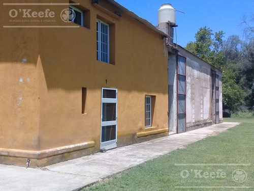 Imagen 18 de 25 de Campo En Venta En Lezama - 530 Has. Ideal Turismo Rural Con Laguna. Pesca - Retasado