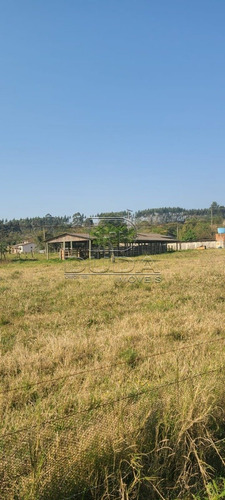 Imagem 12 de 15 de Sitio - Coqueiros - Ref: 26160 - V-26160