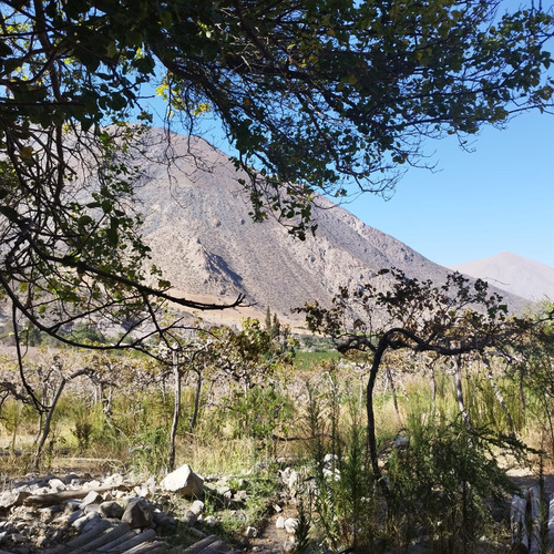 Terreno En Valle De Elqui
